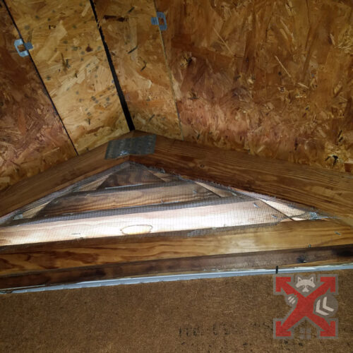 Improperly Place Bat Netting